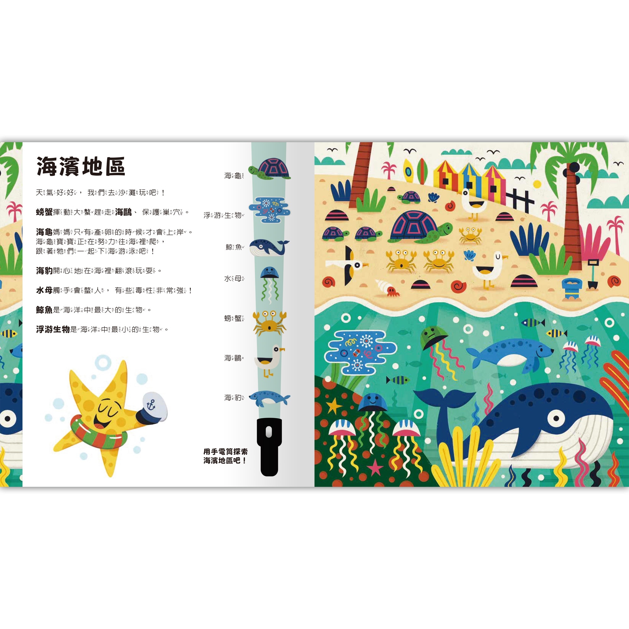 Spotlight!夜遊海洋世界